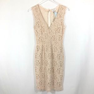 Aritzia Babaton Lace Anton Dress Sz 4 Small
